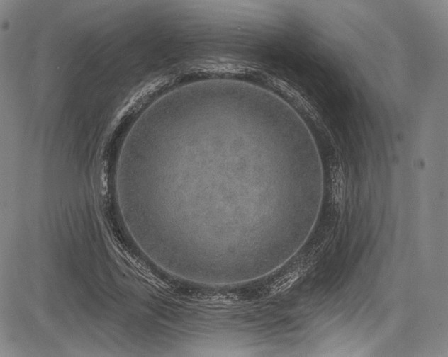 X0000083630731200702121205