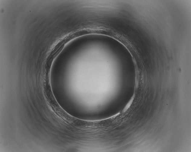 X0000083630732200702121205