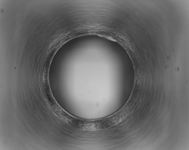 X0000083630740200702121205