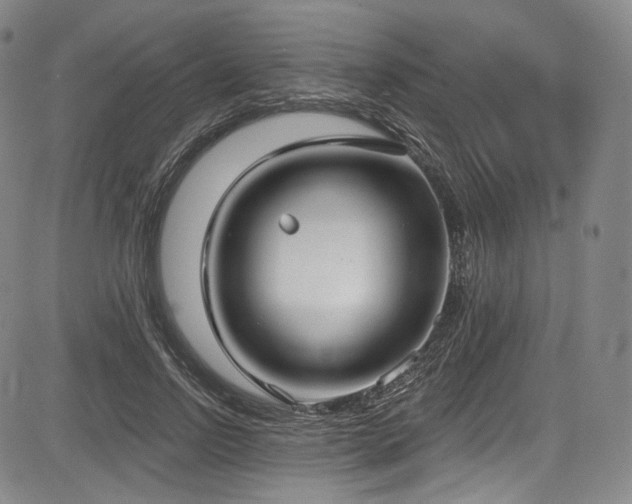 X0000083630742200702121205