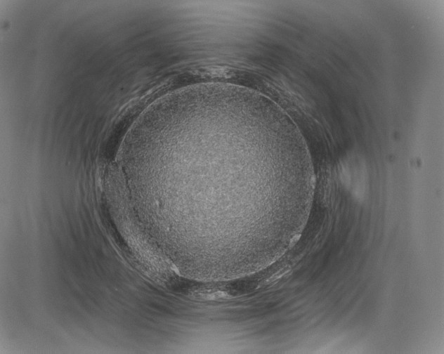 X0000083630747200702121205