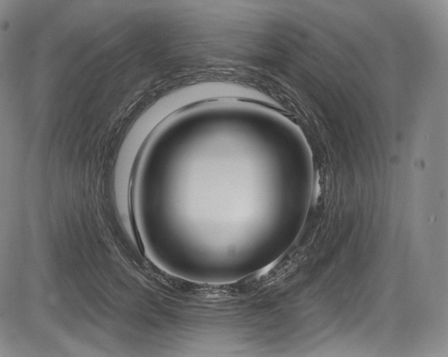 X0000083630750200702121205