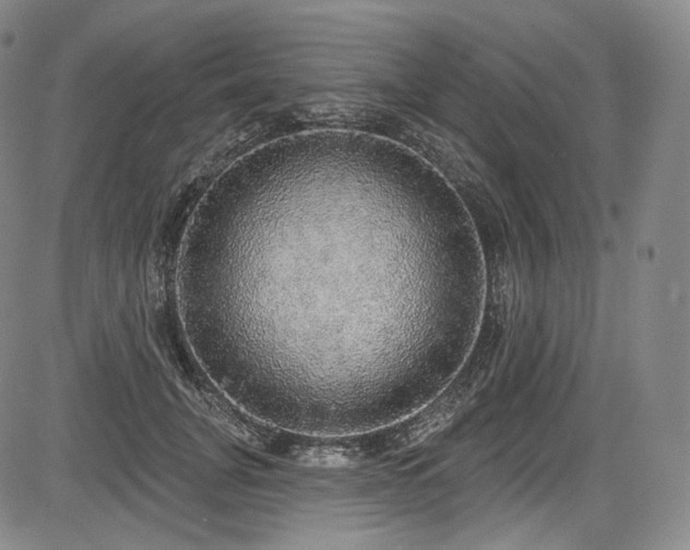X0000083630751200702121205
