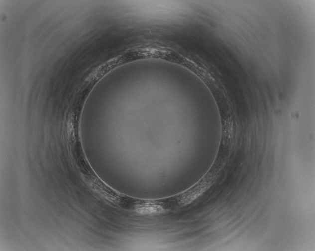 X0000083630754200702121205