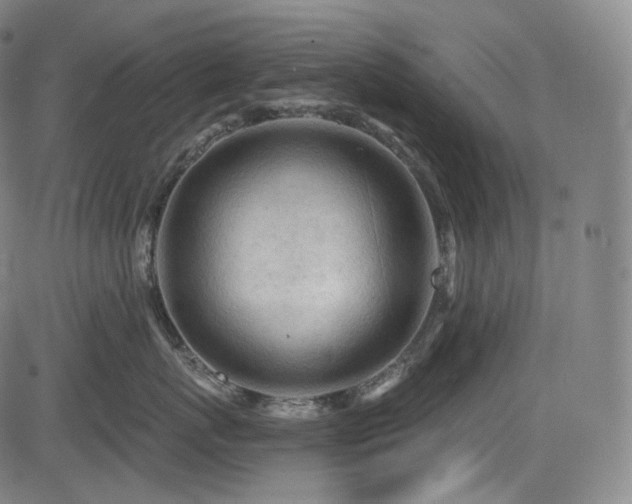 X0000083630767200702121205