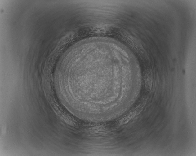 X0000083630769200702121205