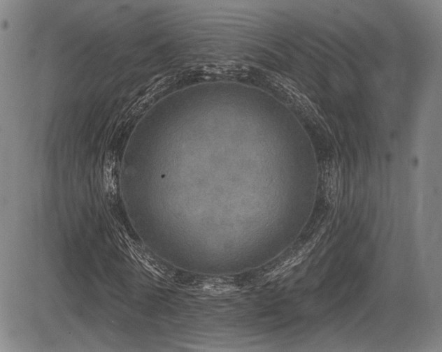 X0000083630770200702121204