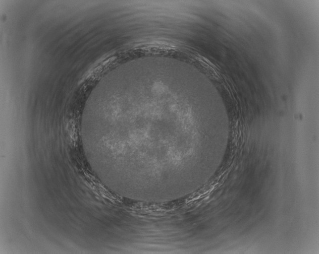 X0000083630774200702121204