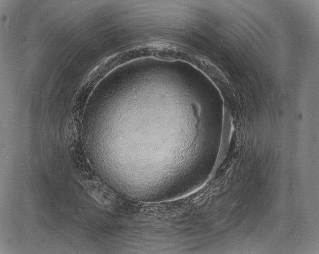 X0000083630776200702121204