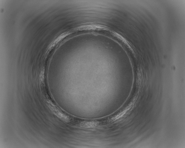 X0000083630778200702121204