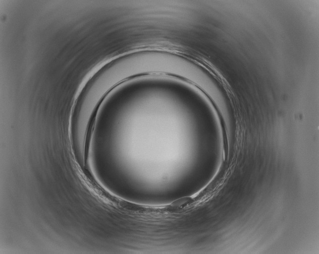 X0000083630788200702121204