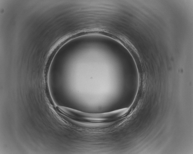 X0000083630789200702121204