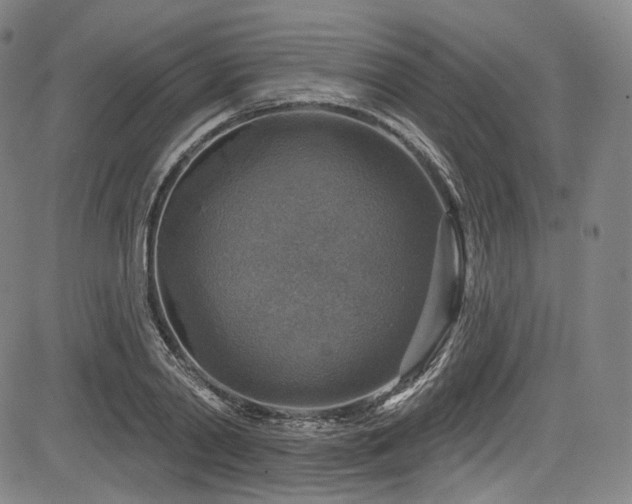 X0000083630790200702121204