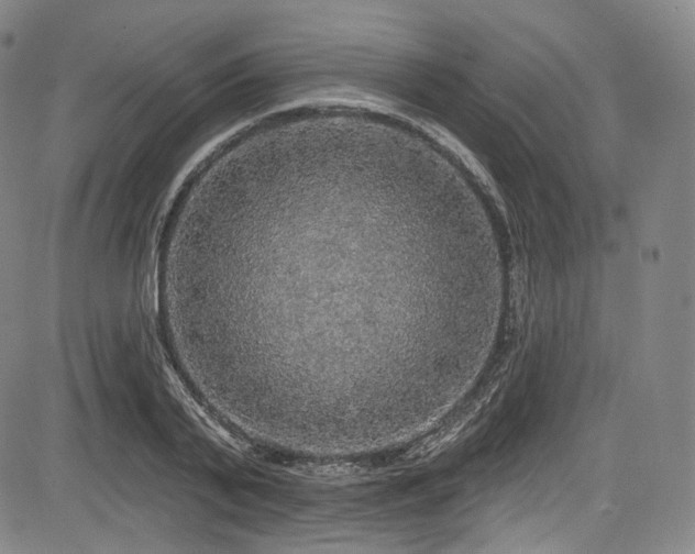 X0000083630791200702121204