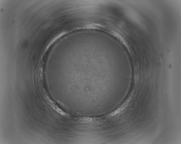 X0000083630827200702121203