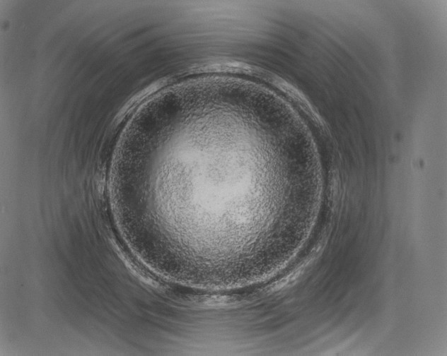 X0000083630841200702121203