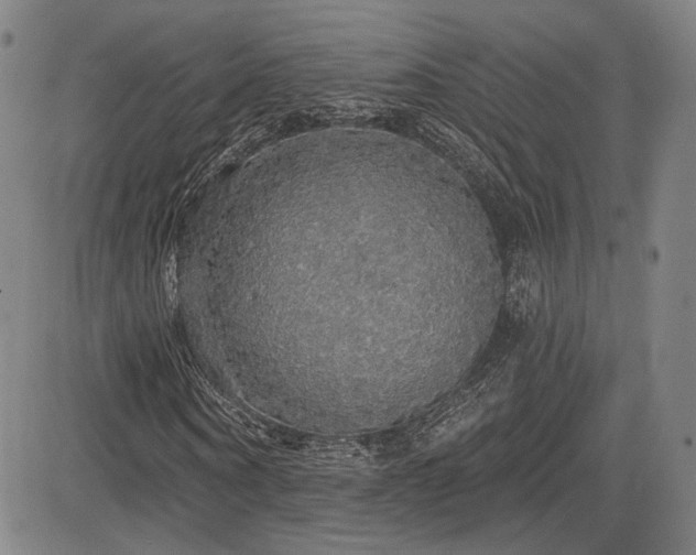 X0000083630866200702121203