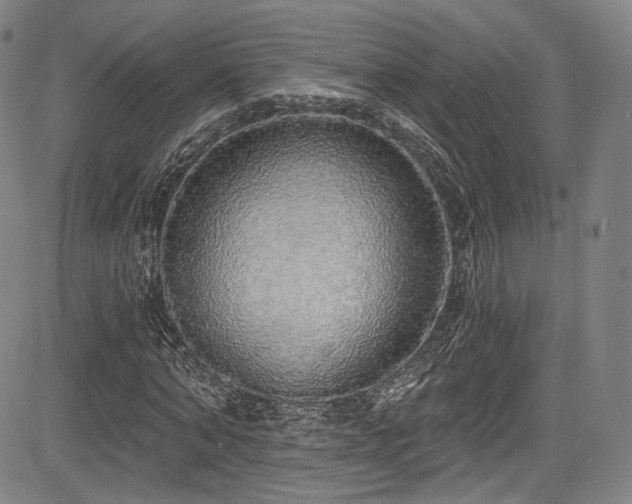 X0000083630870200702121203
