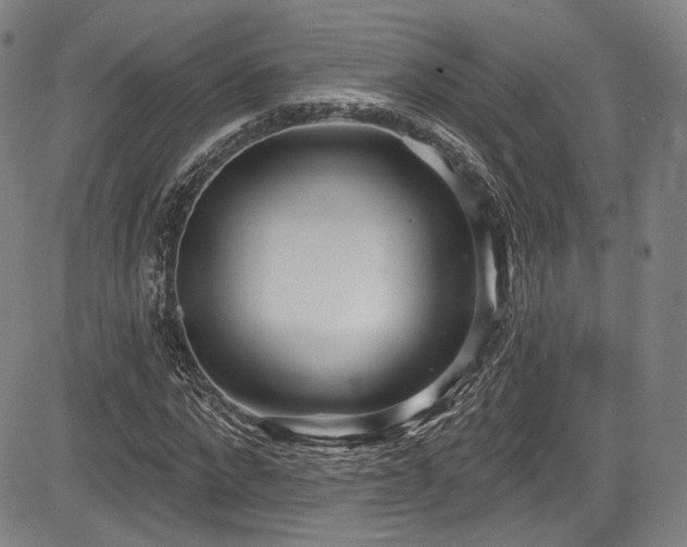 X0000083630872200702121203