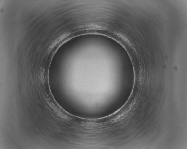 X0000083630873200702121203