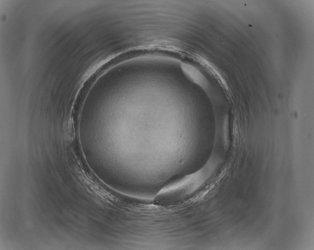 X0000083630876200702121203