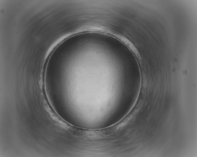 X0000083630904200702121202