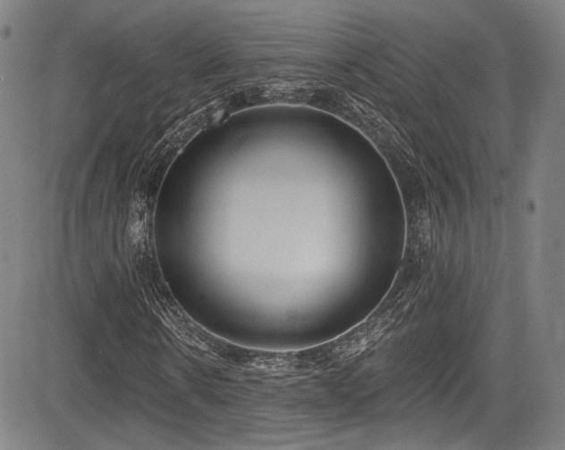 X0000083630914200702121201