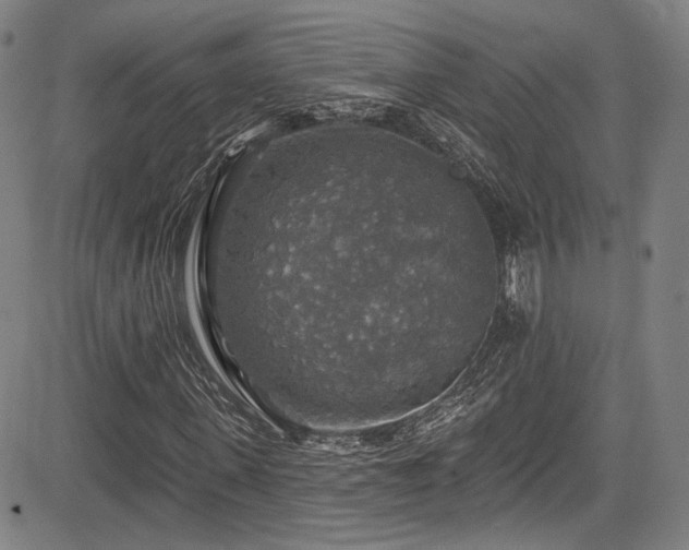 X0000083630915200702121201
