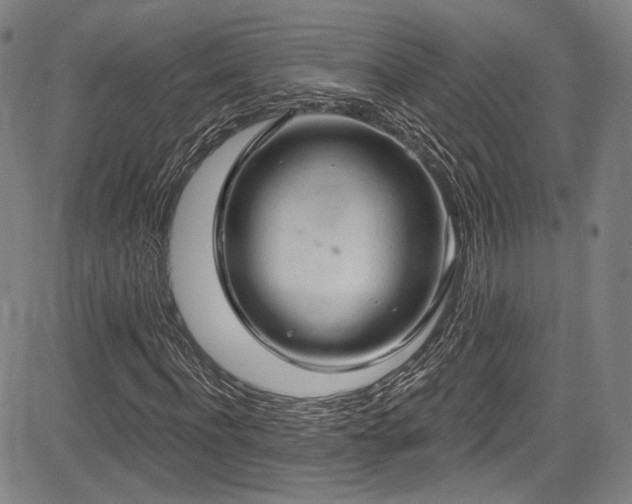 X0000083630916200702121201