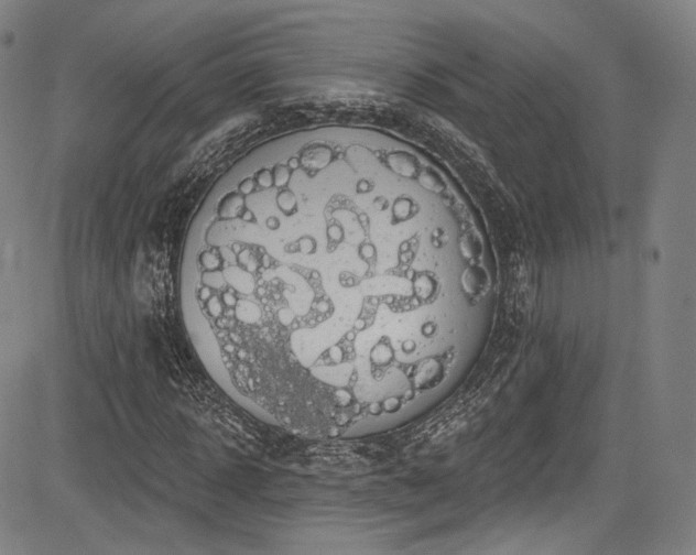 X0000083630918200702121201