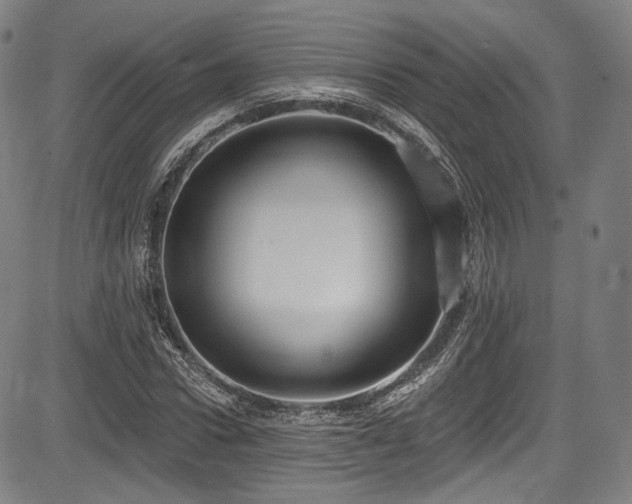 X0000083630922200702121202