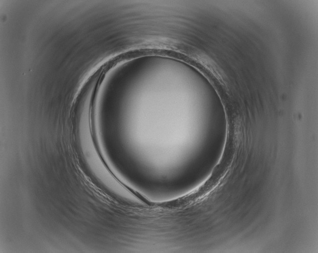 X0000083630926200702121202
