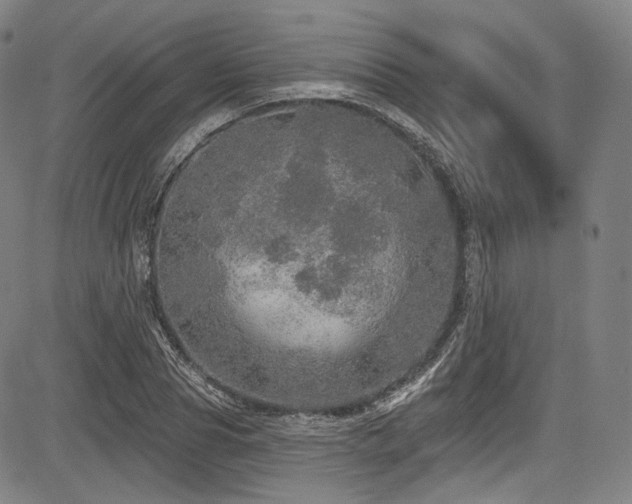 X0000083630929200702121202