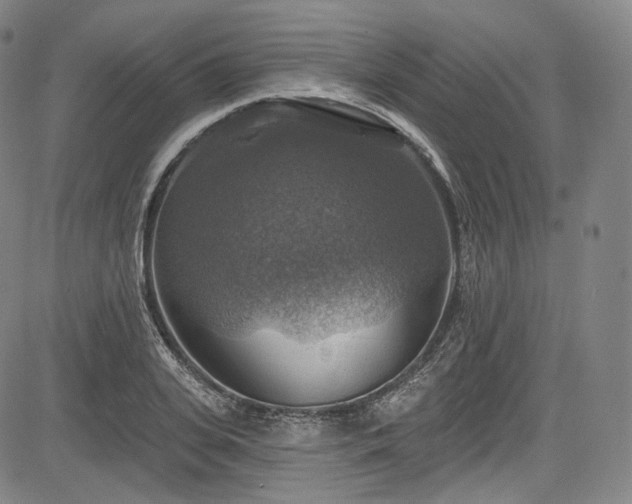 X0000083630935200702121202