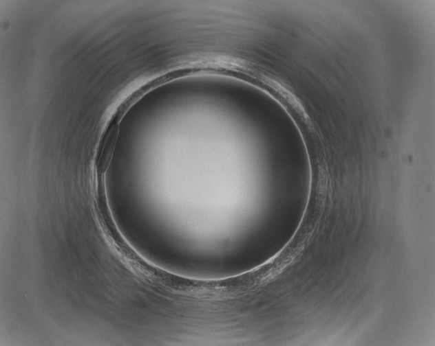 X0000083630936200702121202