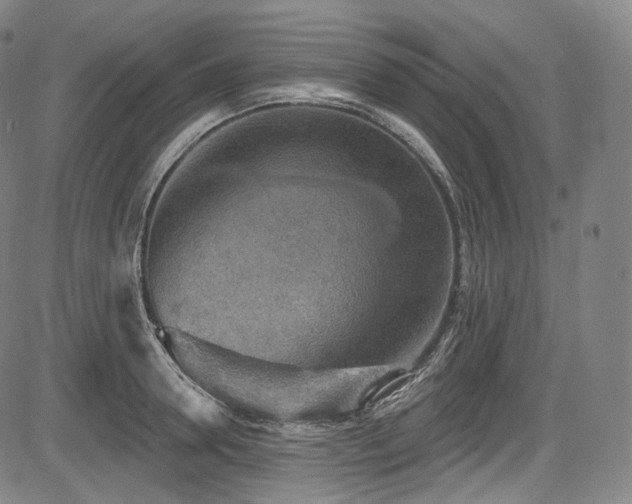 X0000083630946200702121202