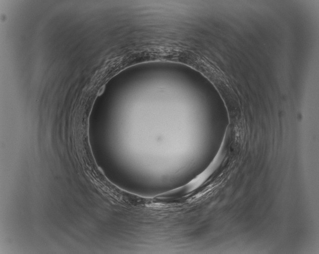 X0000083630961200702121201