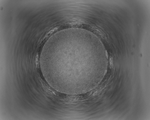 X0000083630963200702121201