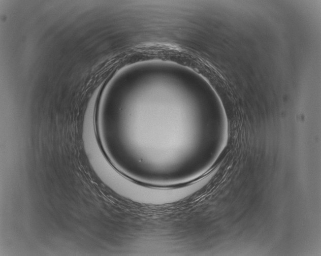 X0000083630965200702121201