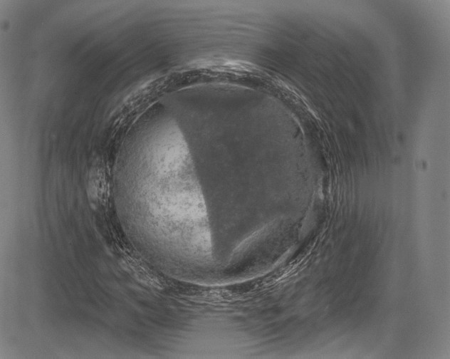 X0000083630966200702121201
