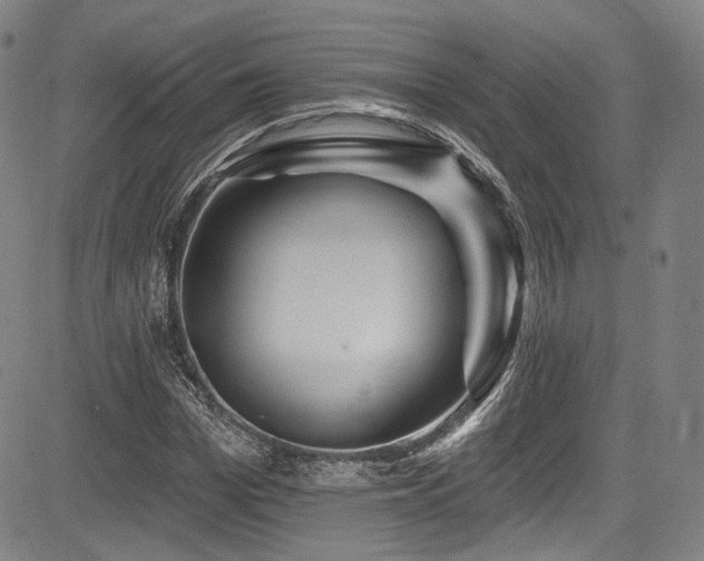 X0000083630969200702121201