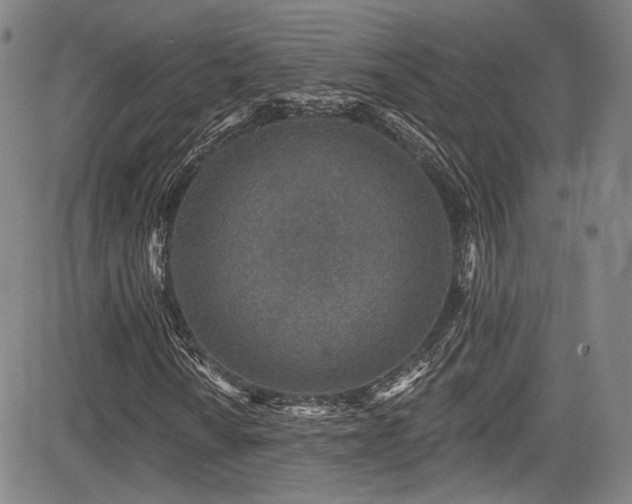 X0000083631010200702121200
