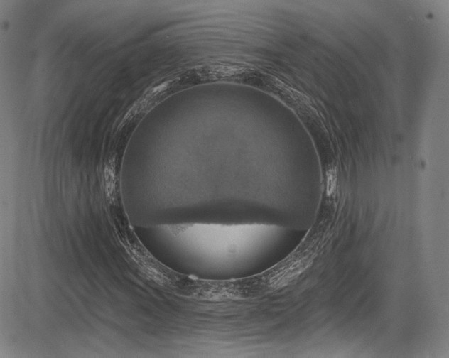 X0000083631011200702121200
