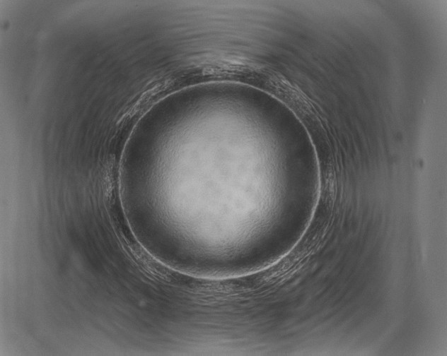 X0000083631012200702121200