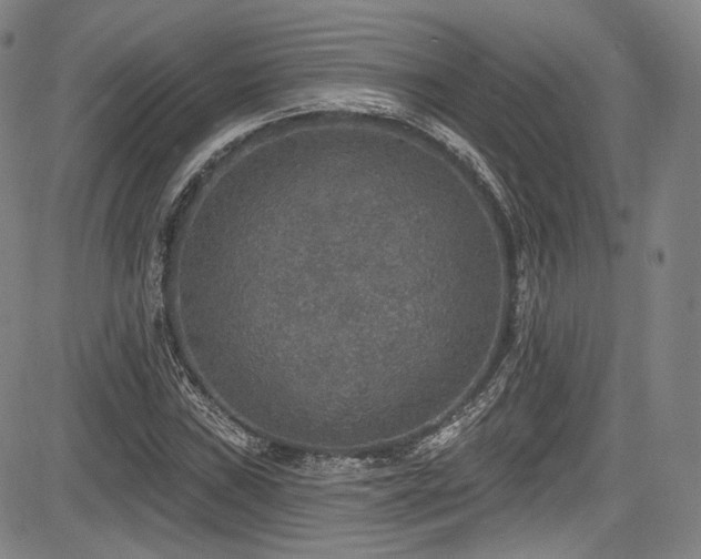 X0000083631019200702121200