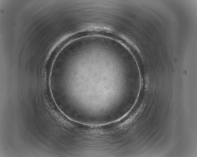 X0000083631021200702121200