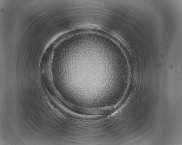 X0000083631022200702121200