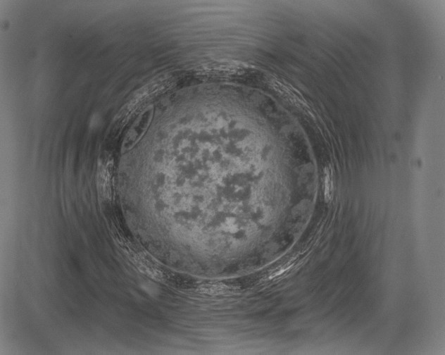 X0000083631059200702121200