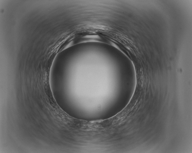 X0000083631061200702121200