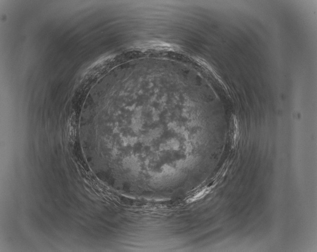 X0000083631063200702121200